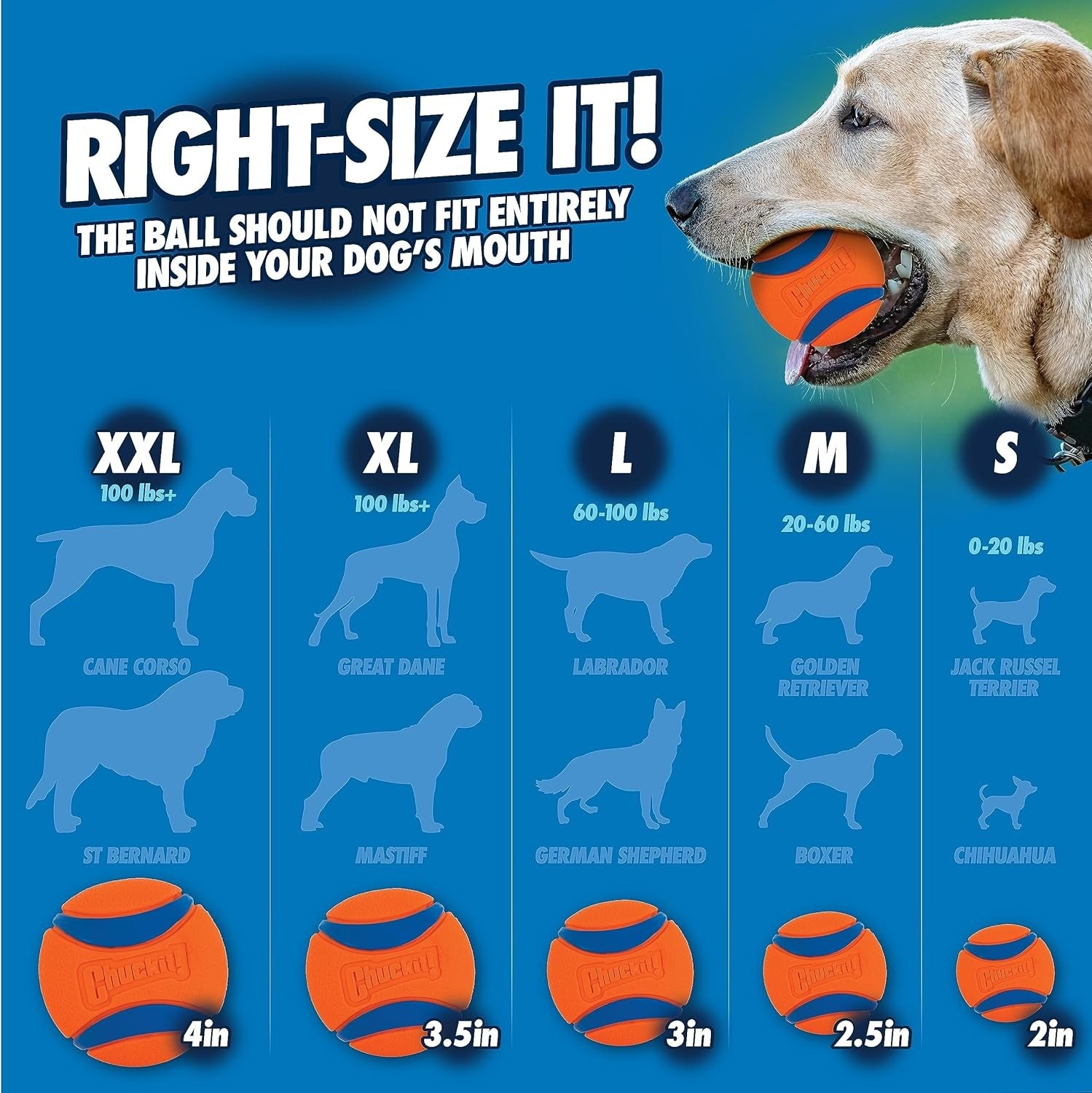 Chuckit! Lanceur de balle de sport pour chien avec balle de tennis moyenne - Taille moyenne - 45 cm