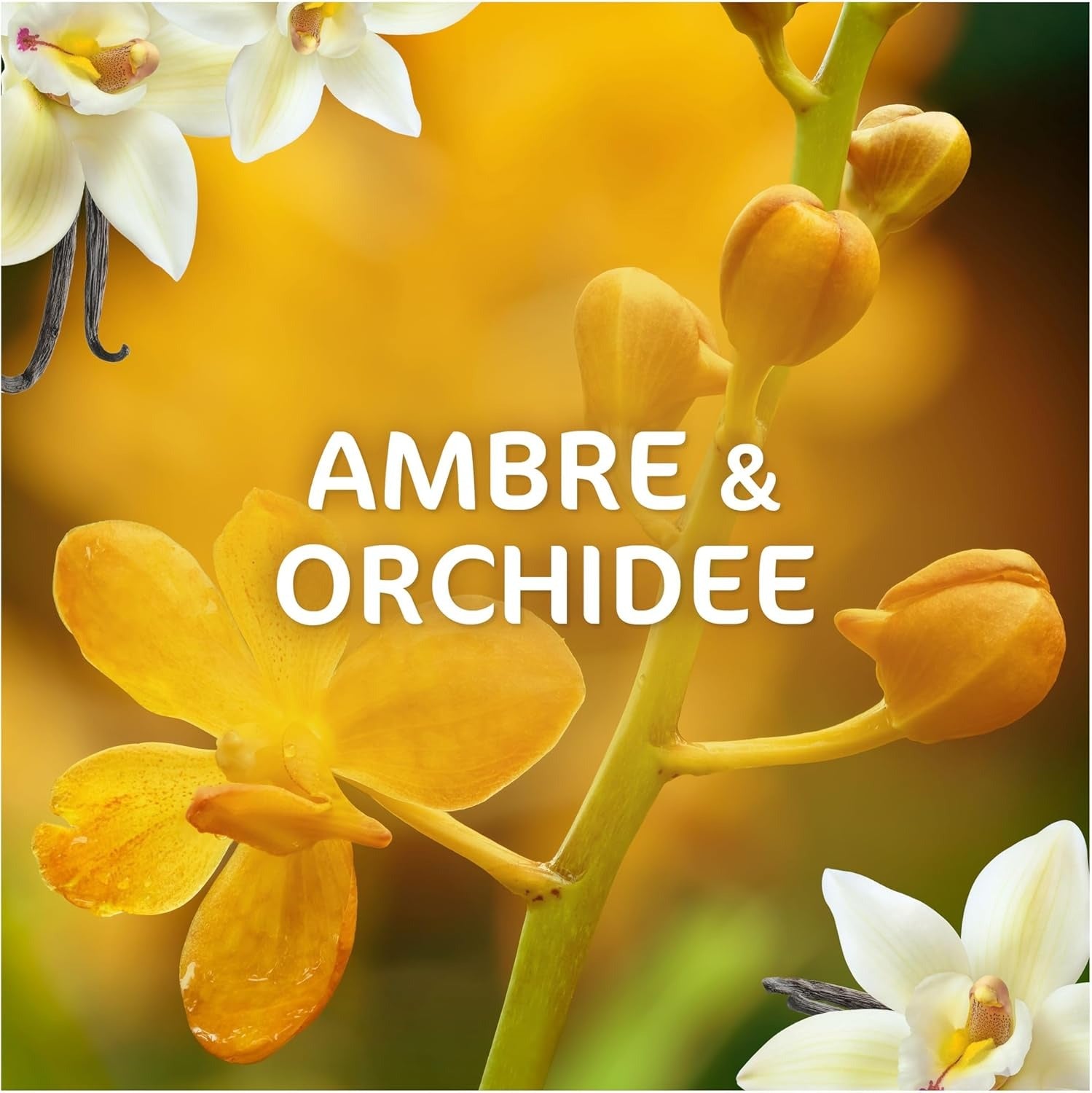 Dash Lessive Liquide 2-en-1 Ambre et Orchidée 1.98L