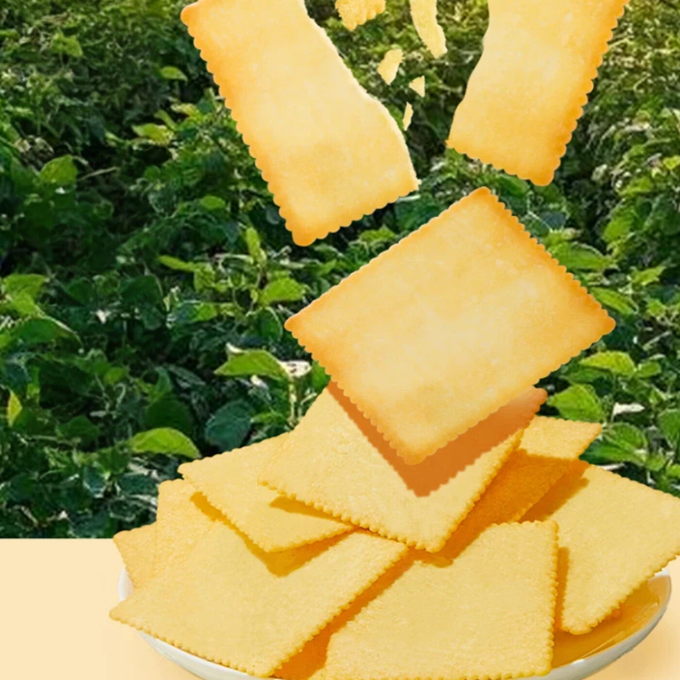 Bestore Crackers croustillants saveur originale 300 g/boîte