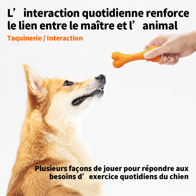 Blinkit Jouet à mâcher os au fromage pour chiens, jouet en latex résistant pour animaux de petite et moyenne taille, jouet interactif de dressage et de dentition (10,7 × 4 × 2,5 cm)