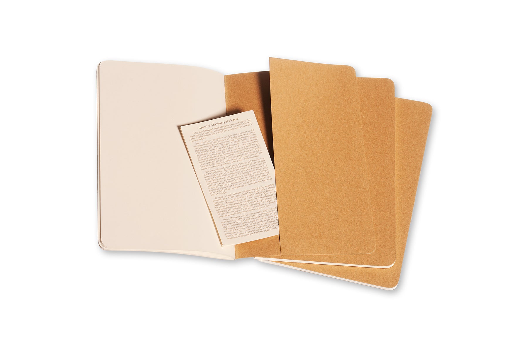 MOLESKINE lot de 3 cahiers grand format pages blanches