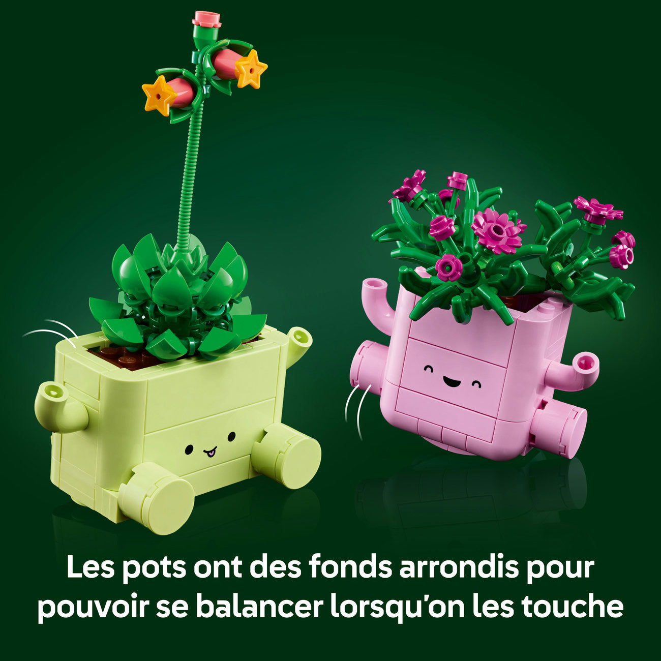 LEGO Botanicals 11506 Petites plantes dansantes