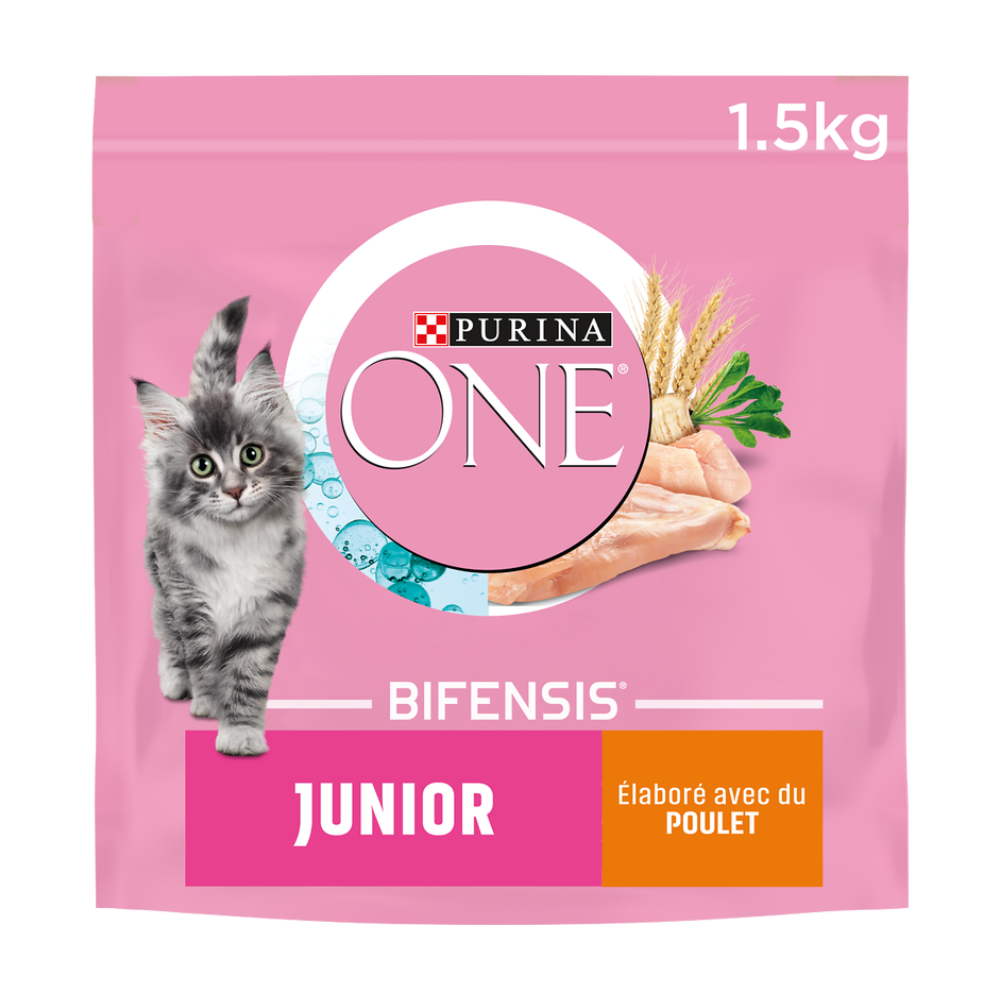 PURINA ONE Junior Croquettes pour Chaton (1 à 12 mois) Riche en Poulet 1,5kg