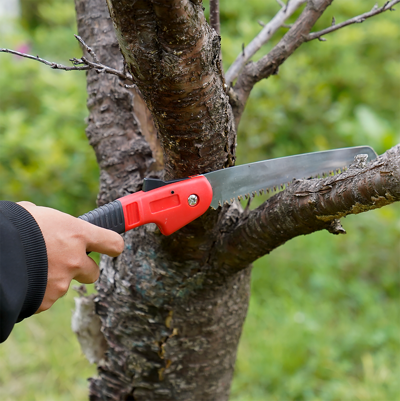 FLORA GUARD Scie pliante 7 pouces, robuste et professionnelle - Noir