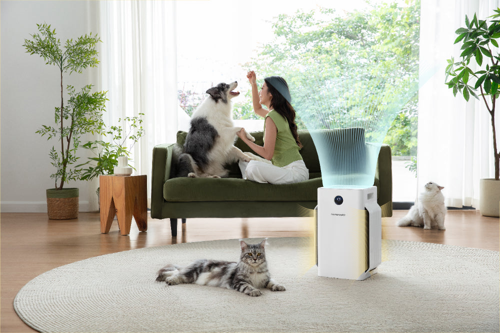 Purificateur d'air Homerunpet D1, canal d'air en forme de U à six côtés, capture efficace des poils, silencieux et efficace, protège la santé respiratoire de toute la famille