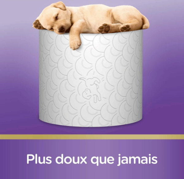 KLEENEX Papier toilette doux et matelassé 3 épaisseurs Blanc 24 rouleaux (4 x 6)