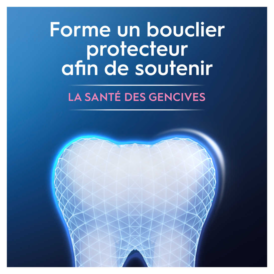 ORAL-B Professional Protection Gencive - Dentifrice - 75ml
