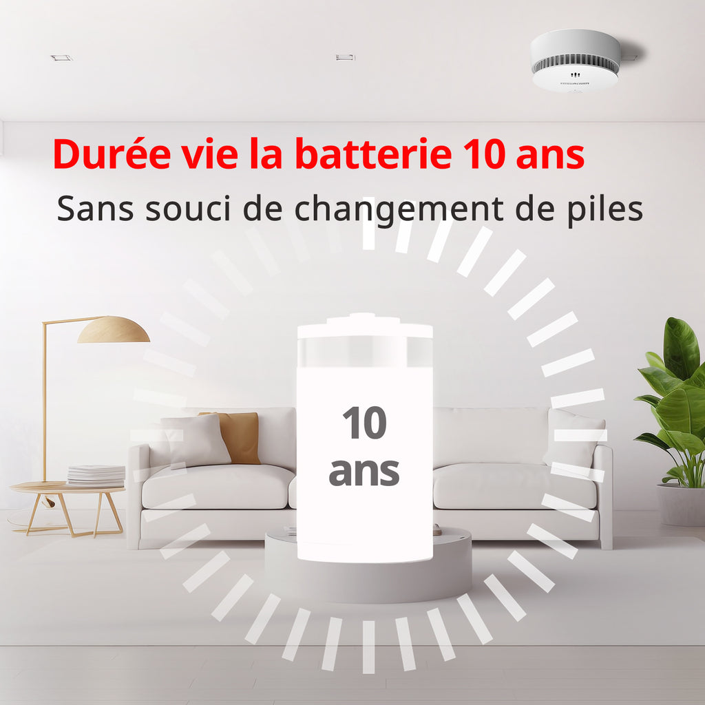 WISUALARM Détecteur de fumée pour maison, Pile 10 ans, Alarme incendie avec bouton test/silence, Détecteur de fumée certifié TÜV conforme EN14604 (2 pièces)