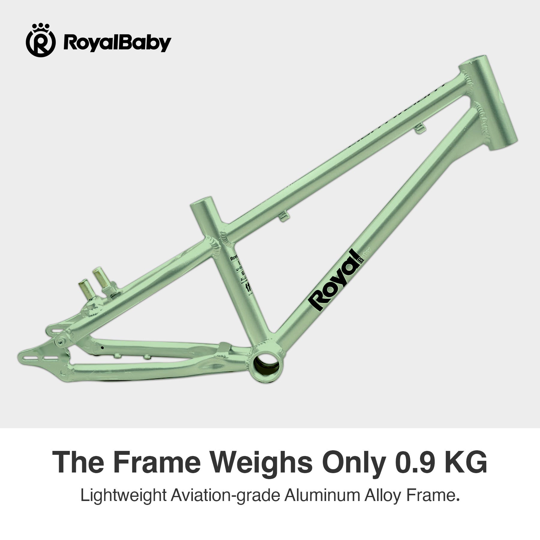 RoyalBaby+ Vélo pour enfants+ Aluminium Freestyle PRO+ 20 pouces Vert, Poids net 7,4 kg