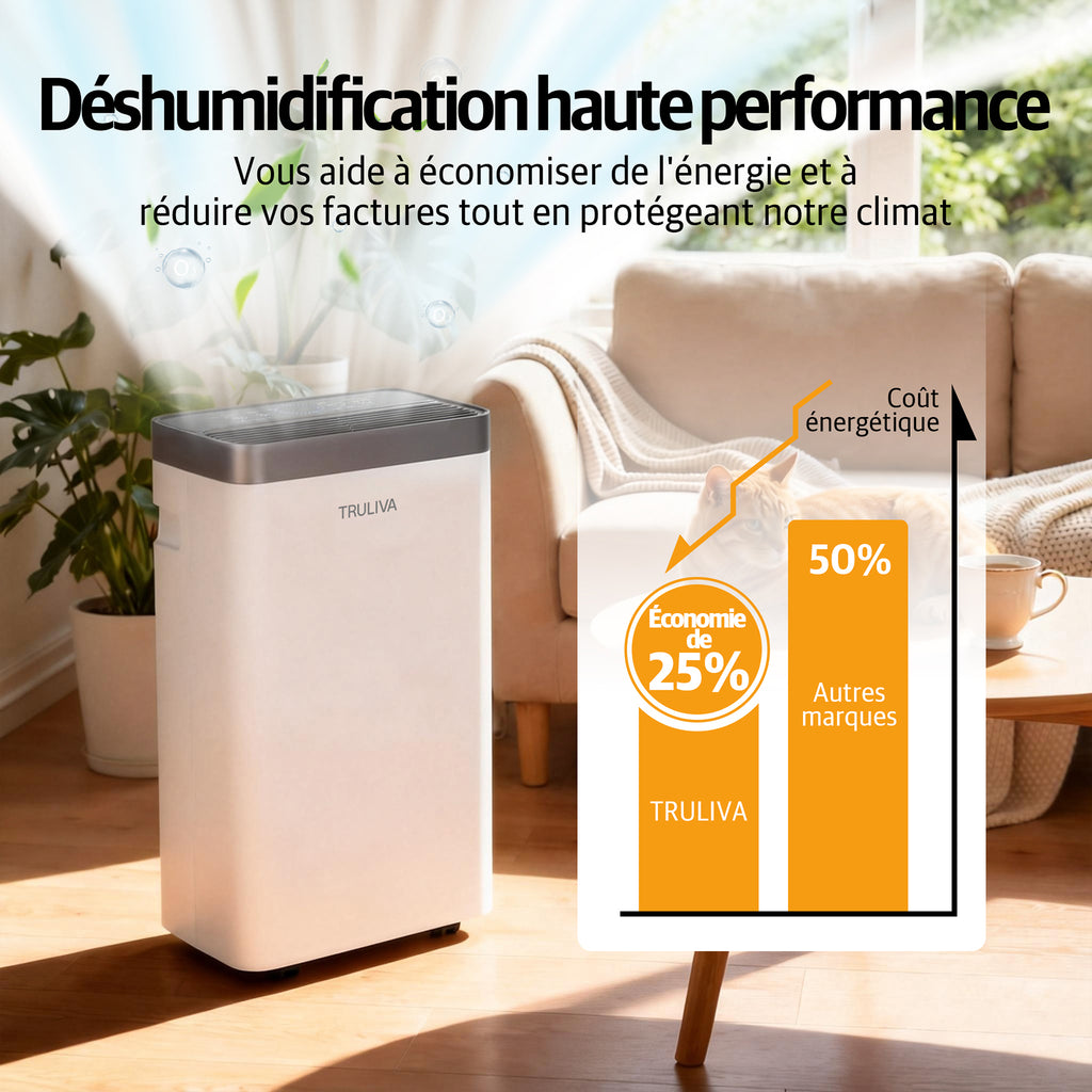 TRULIVA Déshumidificateur pour la maison, jusqu’à 32 m², minuterie 24 h, dégivrage automatique, séchage du linge, vidage continu, idéal pour les appartements humides, AP10-2012EE