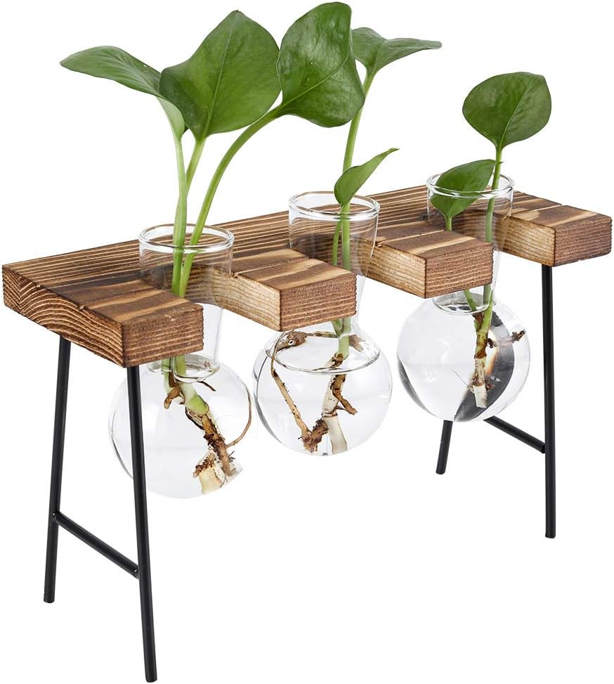 Senhoglb Support pour plantes aériennes