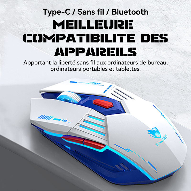 Rexsun Souris de jeu tri-mode Boutons 6D 2,4 GHz + Bluetooth + Filaire DPI réglable 800–3600 Recharge Type-C Éclairage RVB à effet respiration Batterie 300 mAh Blanc et bleu X7