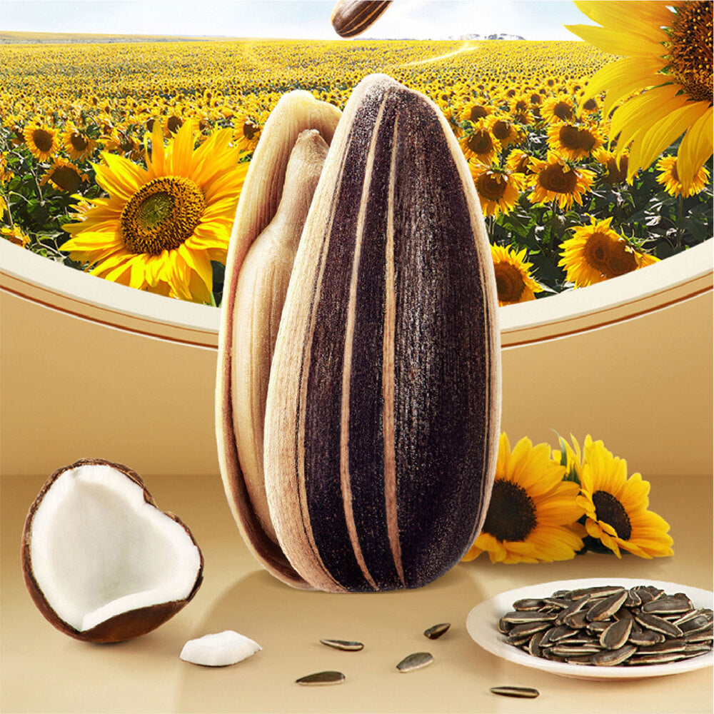 ChaCha Graines de tournesol saveur noix de coco 200 g