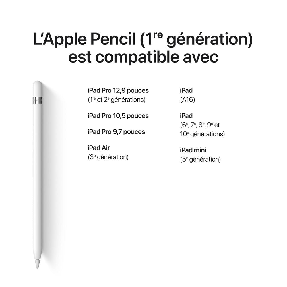 Apple Pencil (1ère génération) Blanc