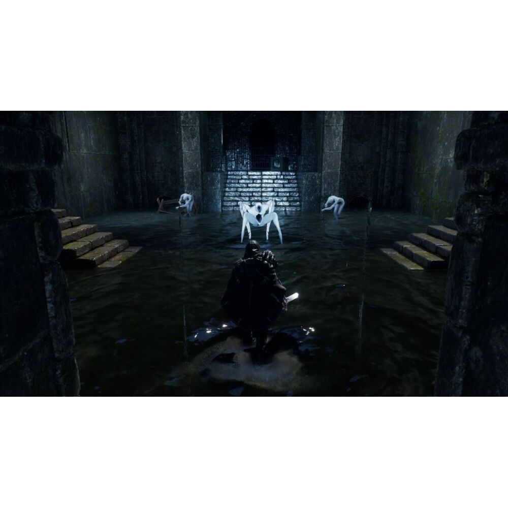 NACON - Hell Is Us - PS5 - Version Française