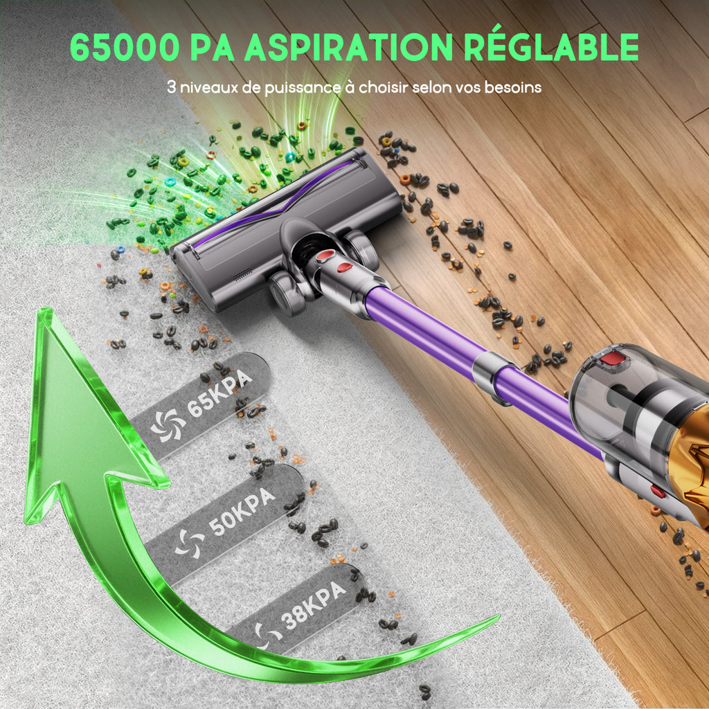 Aspirateur sans fil Daynee, aspiration 65 kPa / autonomie de 70 min, avec affichage, tuyau de 1 m, brosse anti-emmêlement, filtration HEPA*4, pour poils d'animaux, tapis et sols durs