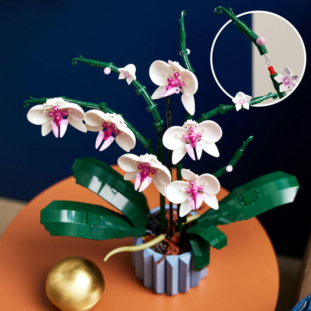 LEGO 10311 Icons L’orchidée Plantes d’intérieur artificielles avec fleurs pour décoration de la maison, Loisirs créatifs pour adultes, Collection botanique