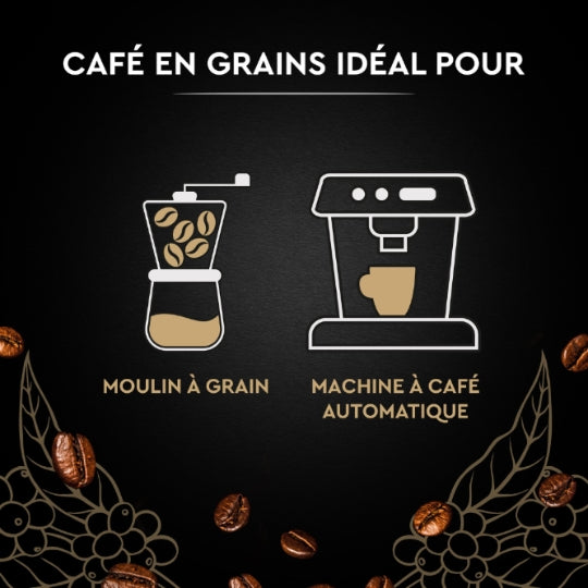 CARTE NOIRE caf grain class 250g