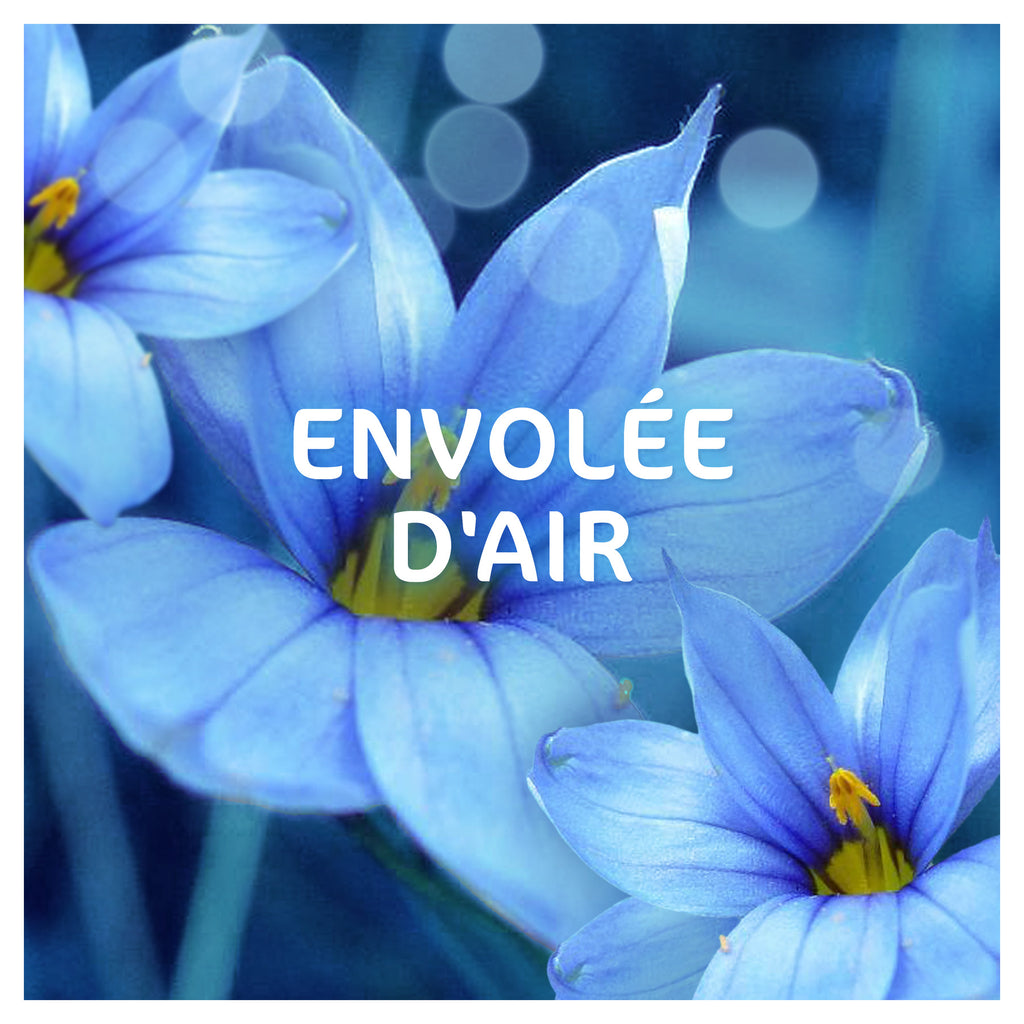 DASH 2en1 Lessive liquide Envolée d'Air Frais 70 lavages 3,15L
