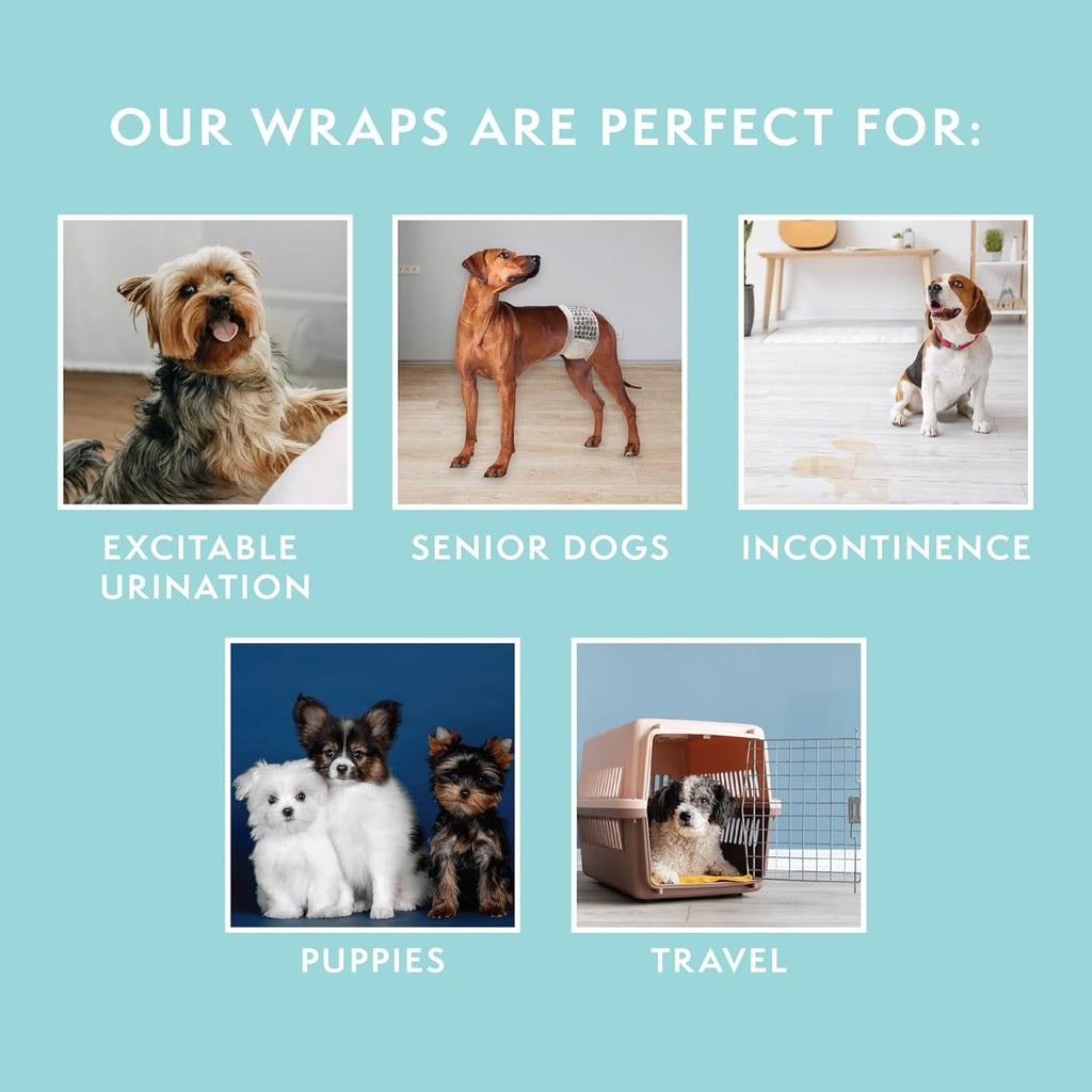 Simple Solution Couches jetables pour chiens, grand paquet de 12