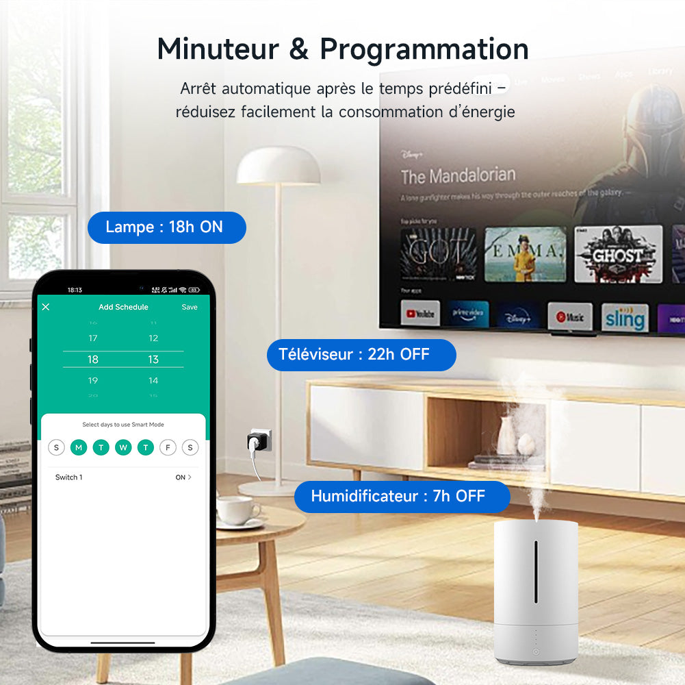 WOOX Prise connectée avec Matter via WiFi, pour intégrer les appareils classiques à la maison connectée, compatible Alexa, Google et Apple, mesure et économise la consommation électrique