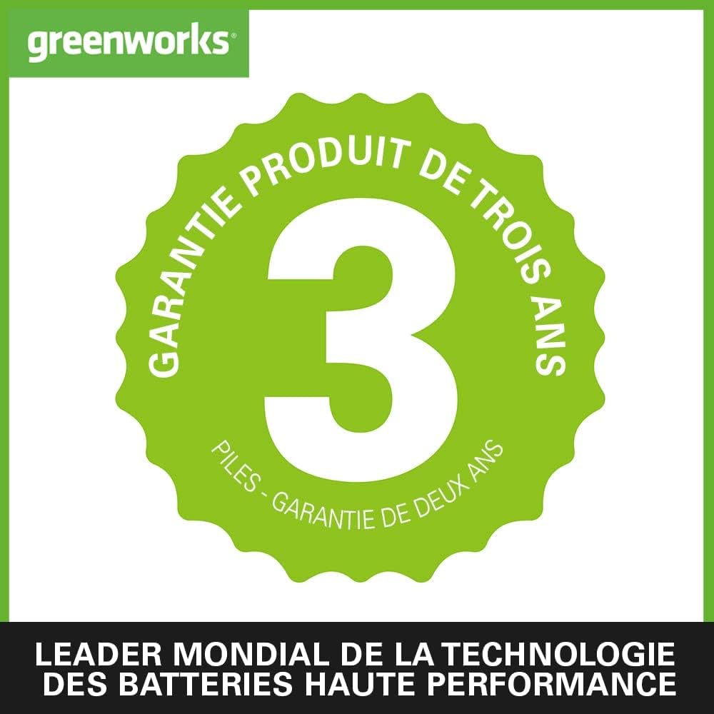 Greenworks 24 V Nettoyeur Haute Pression Sans Fil à Main (Puissance du Moteur Li-Ion 300 W, Pression 24 Bar, Débit 180 l/h, Buse 5 Jets, Tuyau 6 m Sans Batterie et Chargeur), Vert, Gris, Noir G24PWK4