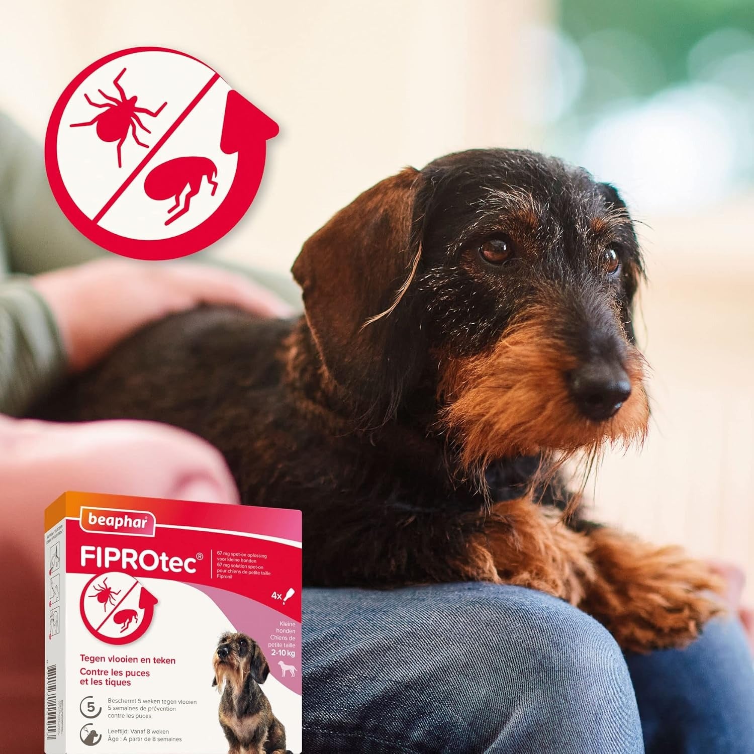 BEAPHAR Fiprotec Spot On pour chiens 2-10 kg 4 pipettes