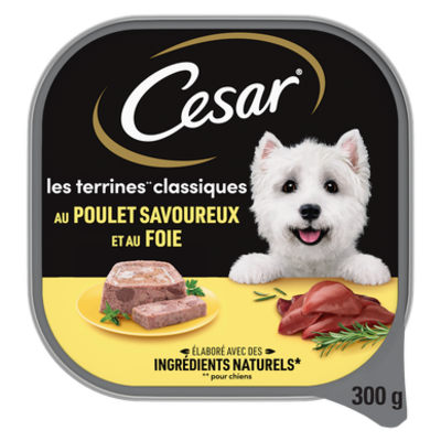 Cesar aliment chien terrine classique poulet1 barq 300 gr