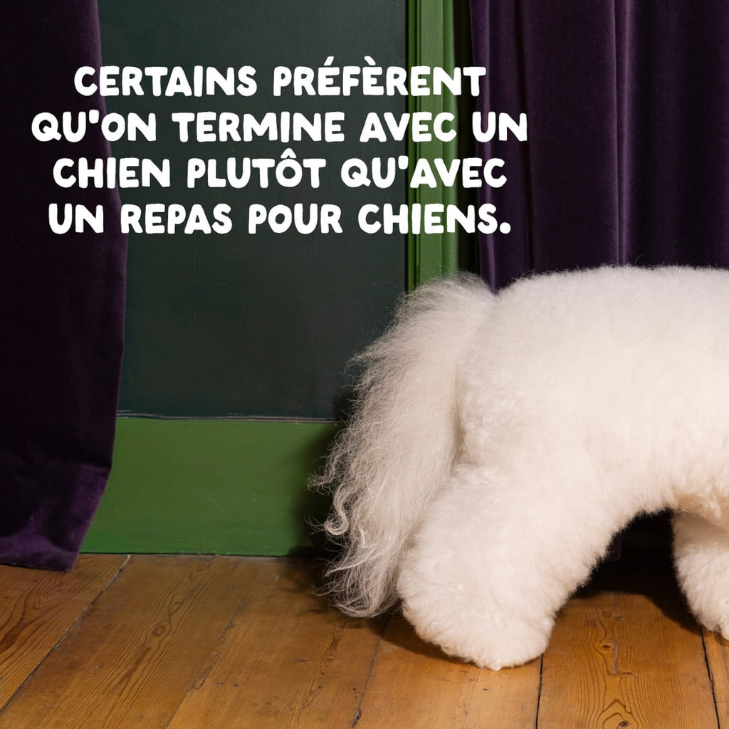 Edgard & Cooper Aliment sec sans céréales pour chien adulte au poulet avec fruits et légumes - 1 kg