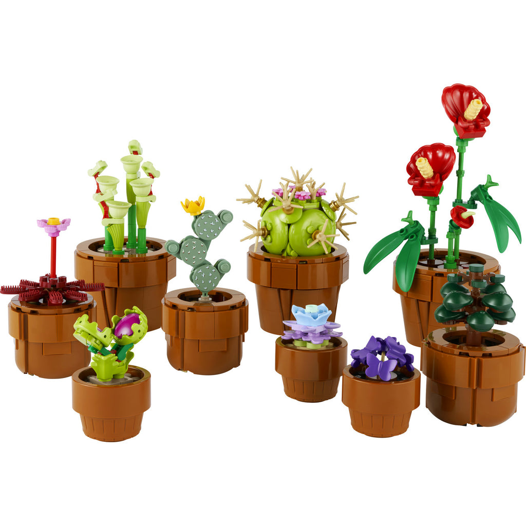 LEGO Botanicals 10329 Les plantes miniatures