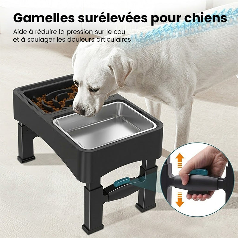 Blinkit 0159-3 Bol à alimentation lente pour animaux de compagnie/Bol surélevé pour chien, bol à alimentation lente + combinaison de bols en acier inoxydable, conception pliable réglable en hauteur à quatre niveaux, convient à l'alimentation et à l'a