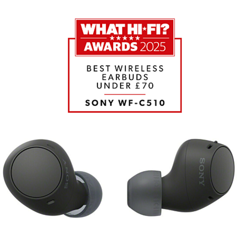 Écouteurs Sans Fil Véritable Sony WF-C510 (Noir)