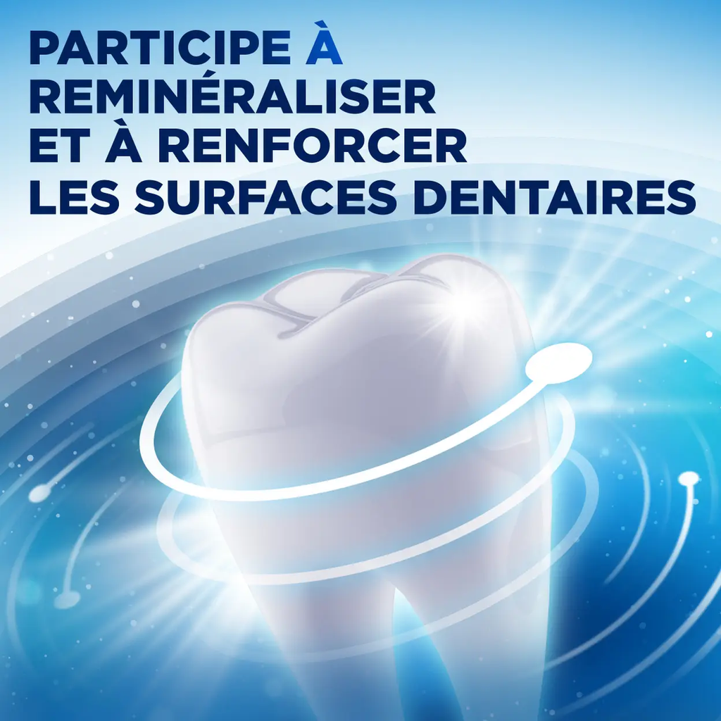 Aquafresh Dentifrice Triple protection Menthe fraîche Lot de 12 x 125 ml