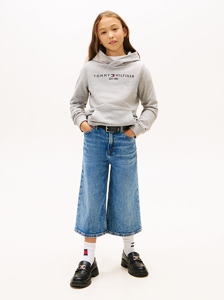Tommy Hilfiger Sweat à capuche basique Gris 7