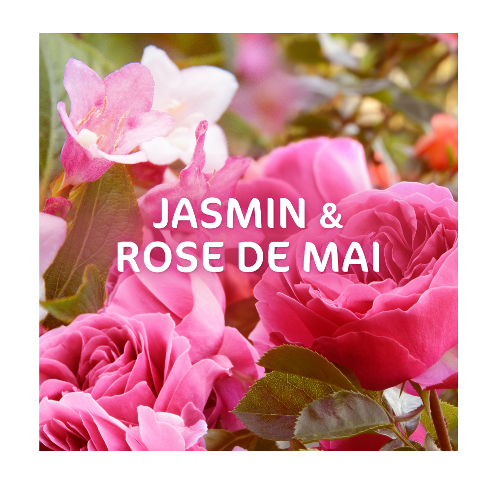 Dash 2 en 1 PODS® Jasmin et Rose de Mai, 38 Doses, Fabriqué en France
