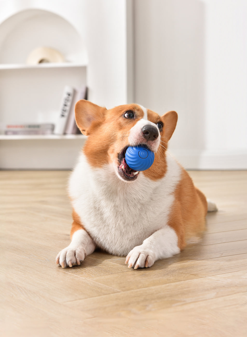 PETGRAVITY Balle rebondissante intelligente pour chien de taille moyenne - Bleu