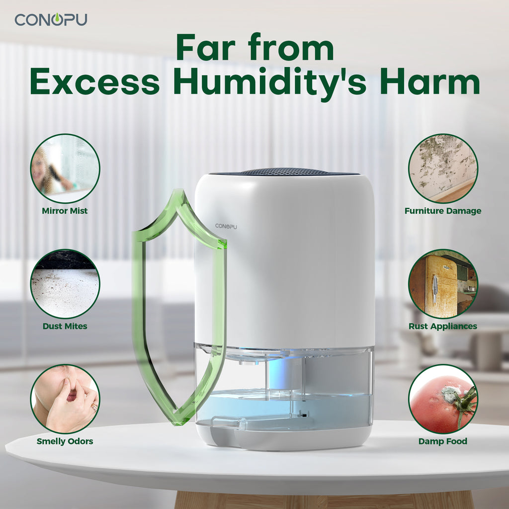 CONOPU Déshumidificateur CS01H, réservoir d'eau de 1000 ml, idéal pour les petits espaces, élimination de l'humidité de 450 ml/jour, ultra silencieux, éclairage ambiant LED 7 couleurs