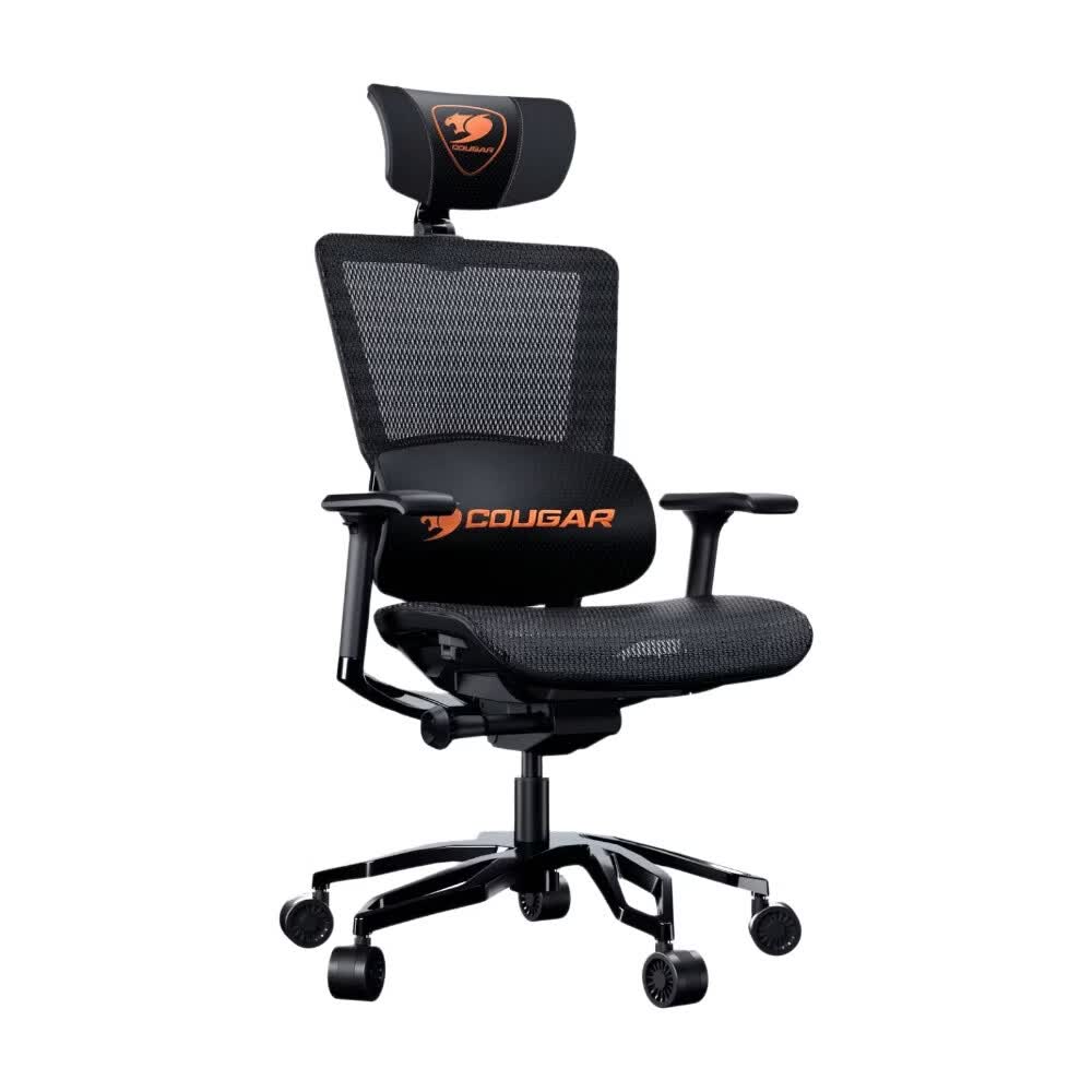 Fauteuil ergonomique Cougar Argo (Noir)