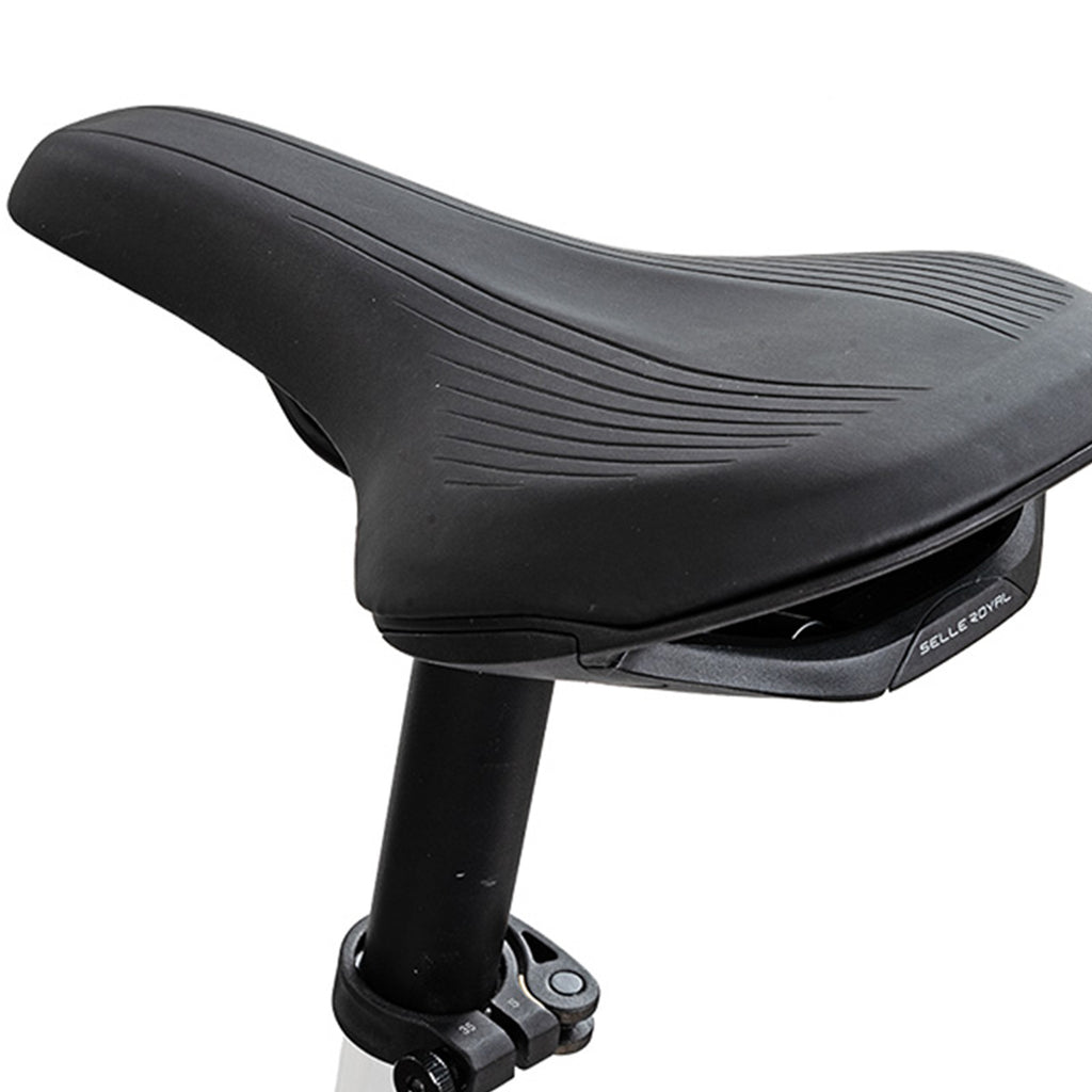 Rabeneick Comfort E-Bike Wave 51 or champagne doré
