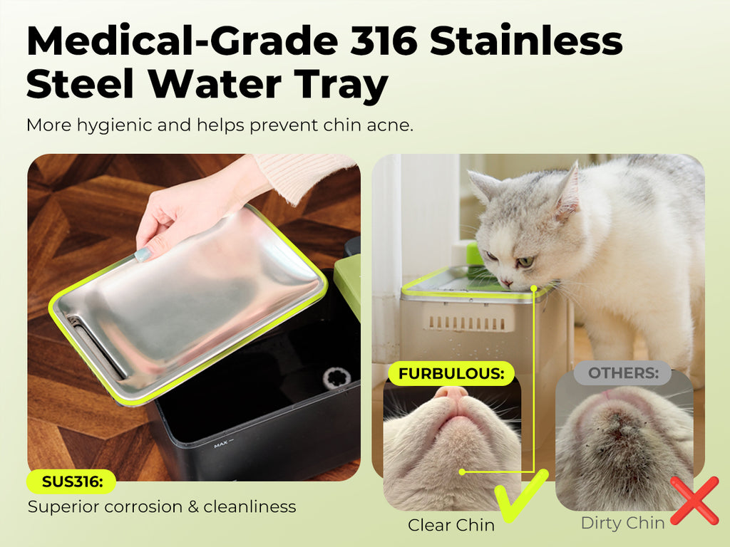 FURBULOUS [Acier Inoxydable 316 & Conception 100% Sécurisée] Fontaine à Eau avec Technologie d'Ultrafiltration - Eau et Électricité Séparées, Ultra-Silencieuse, Sans BPA, 3.3L, Deux Modes pour Chats & Chiens, Noir (Inclus Filtre 45 Jours)