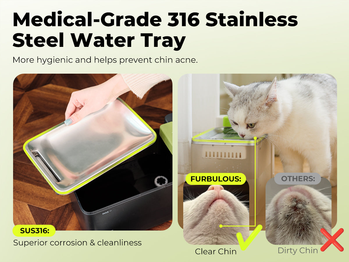 FURBULOUS [Acier Inoxydable 316 & Conception 100% Sécurisée] Fontaine à Eau avec Technologie d'Ultrafiltration - Eau et Électricité Séparées, Ultra-Silencieuse, Sans BPA, 3.3L, Deux Modes pour Chats & Chiens, Noir (Inclus Filtre 45 Jours)