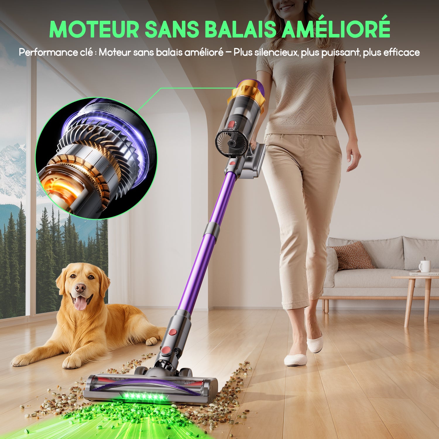 Aspirateur sans fil Daynee, aspiration 65 kPa / autonomie de 70 min, avec affichage, tuyau de 1 m, brosse anti-emmêlement, filtration HEPA*4, pour poils d'animaux, tapis et sols durs