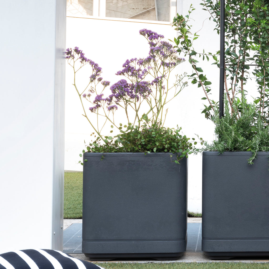 Deroma Bac à plantes Cube Cosmo anthracite avec réserve d'eau et roulettes