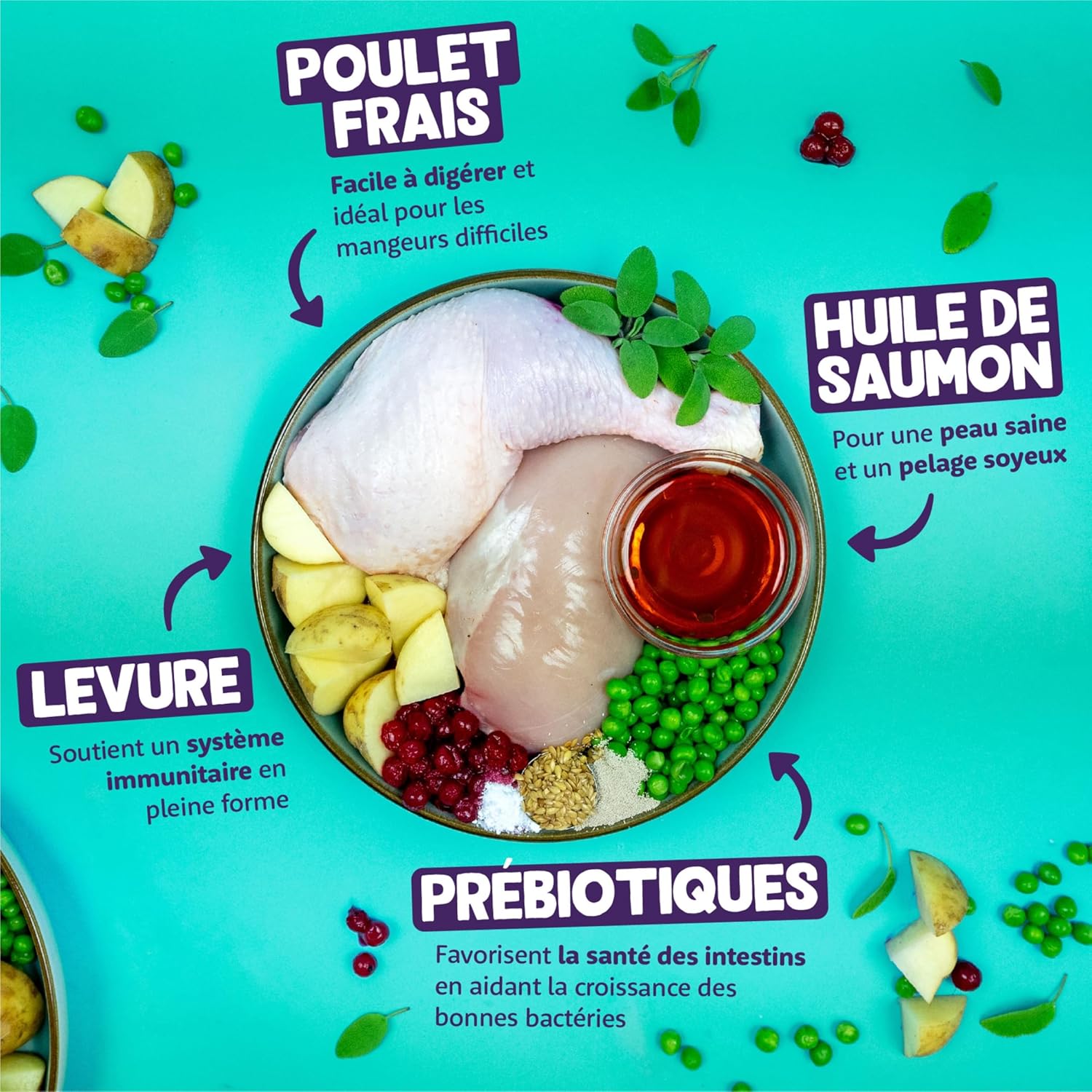 Edgard & Cooper Croquettes pour Chat Adulte Sans Céréales Poulet Frais