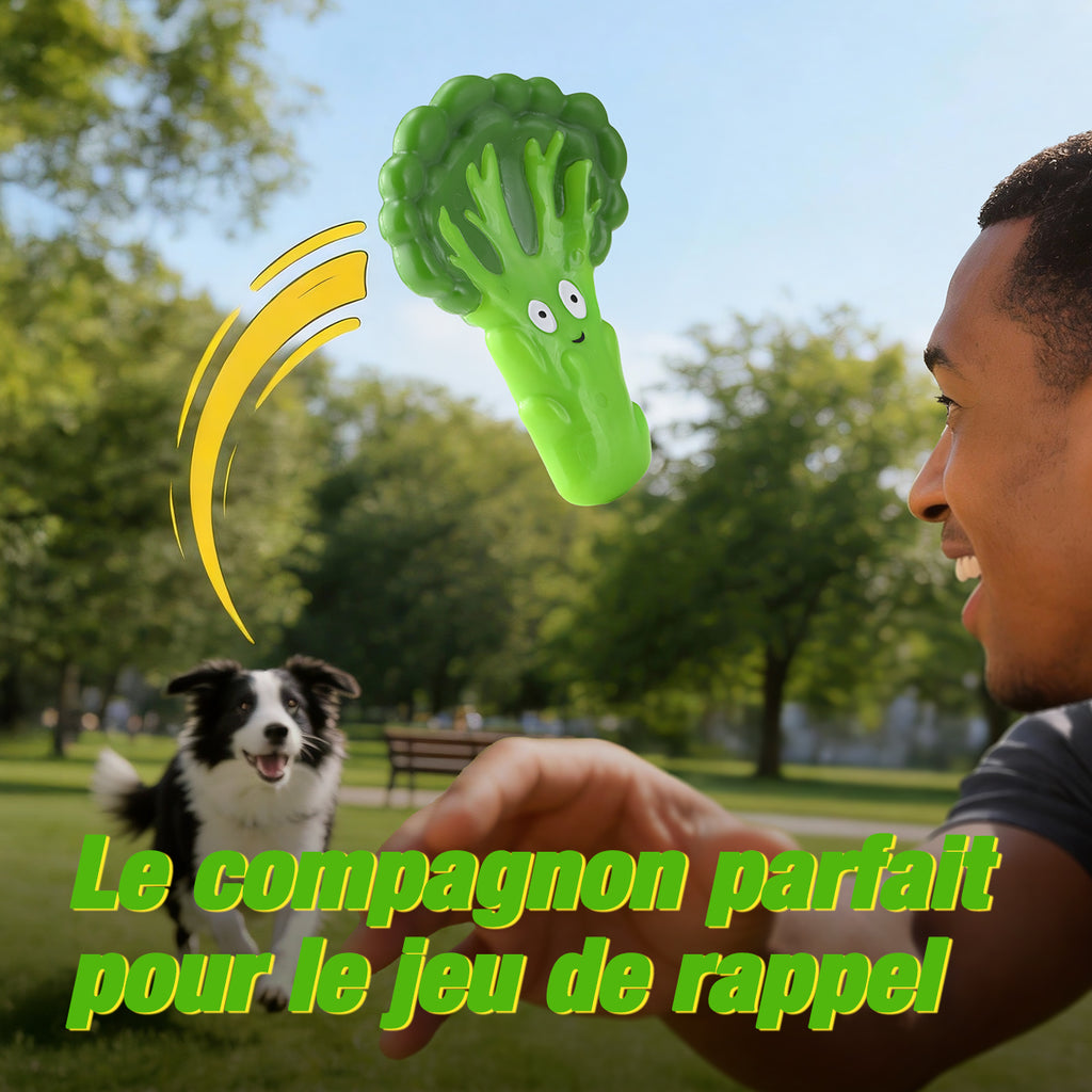 Blinkit Jouet à mâcher pour chien en nylon résistant aux morsures en forme de brocoli, Interaction lancer-attraper anti-stress, Jouet à mâcher pour animal de compagnie NL01057