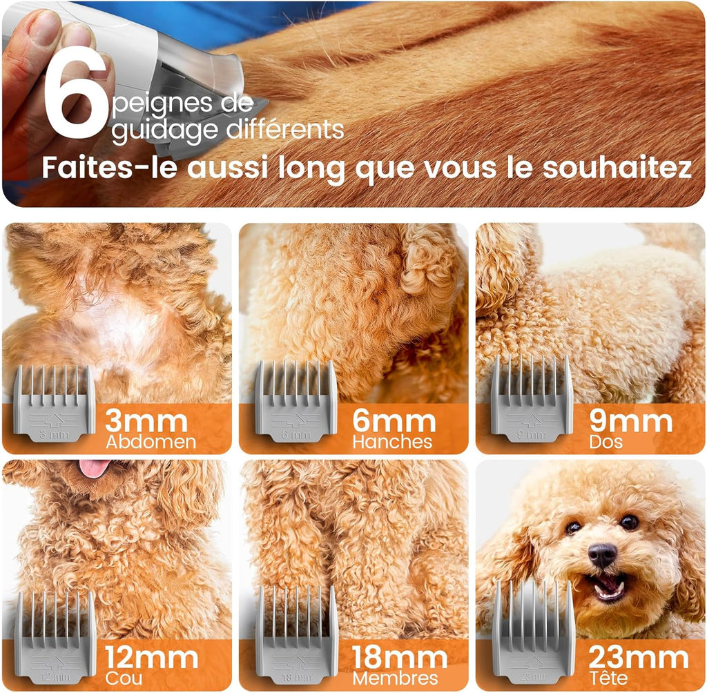 Oneisall Tondeuse pour chien avec aspirateur et brosse | Aspirateur pour poils, puissance d'aspiration super 12000 Pa, aspire 99,99 % des poils d'animaux, 7 accessoires de soin, 1,5 L