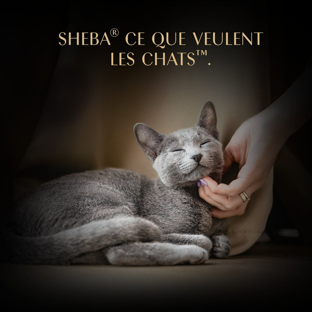 SHEBA Soupe pour Chat Filets de Thon et de Poulet (Sachets 4 x 40g)