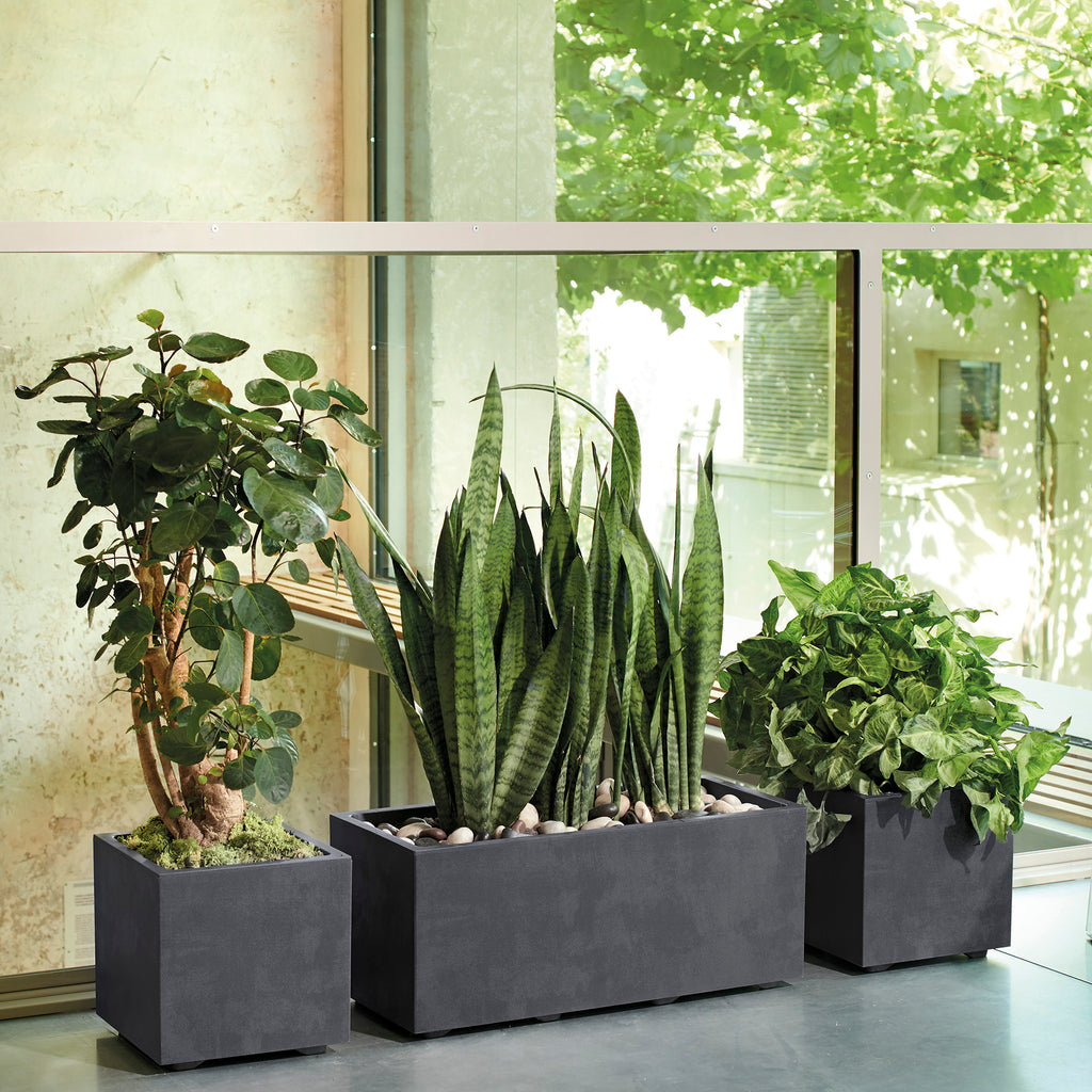 DEROMA Cubo Millennium R Anthracite à réserve d'eau 25cm
