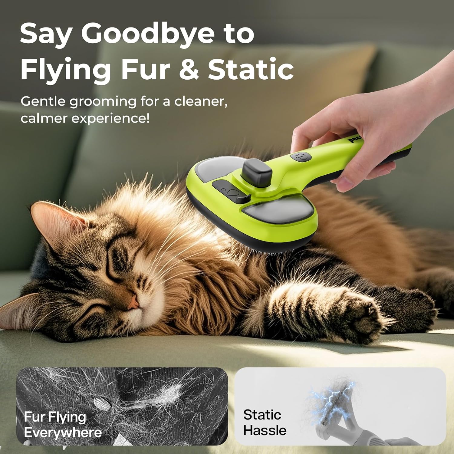 Pecute Peigne pulvérisateur pour animaux avec réservoir d’eau - Vert