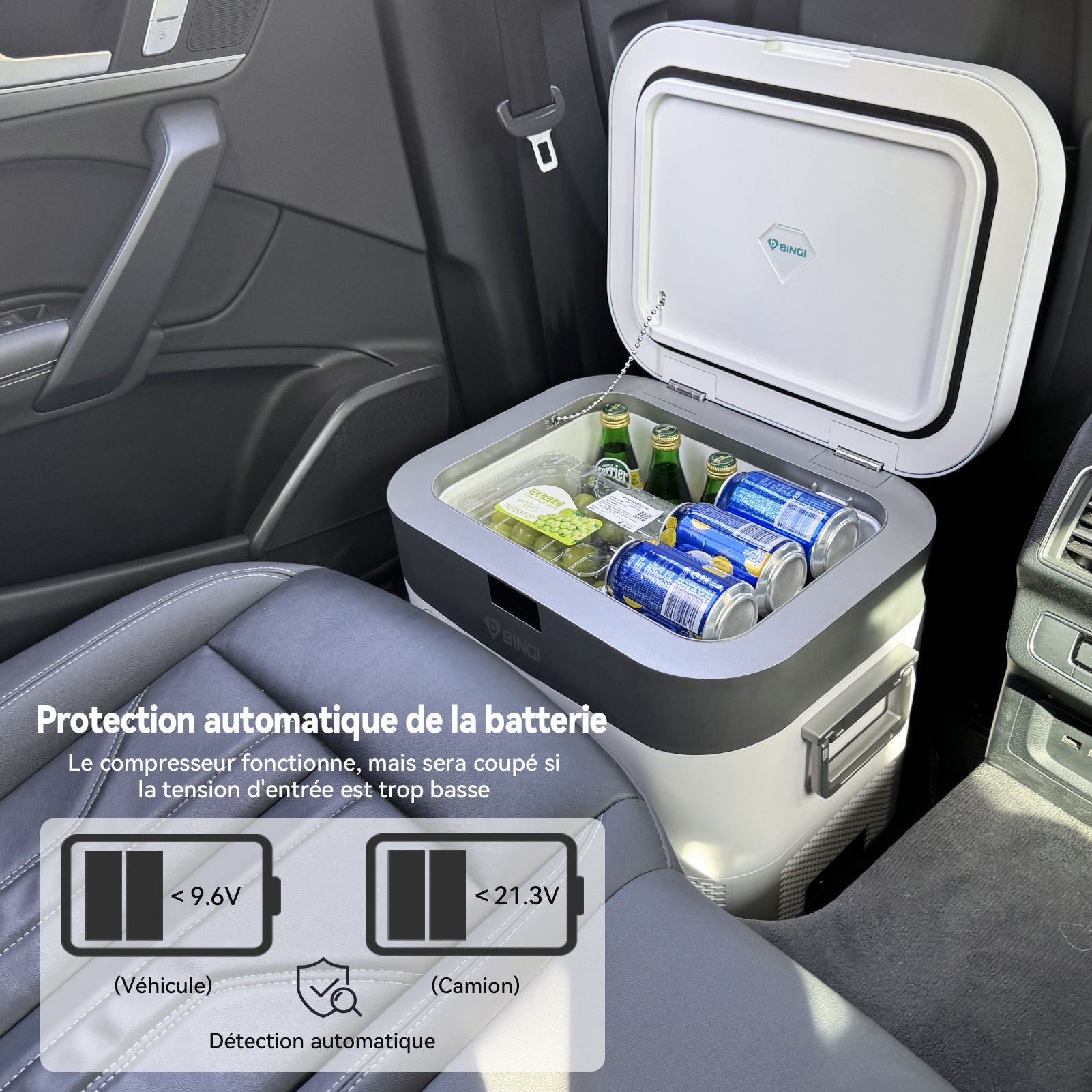 BINGI Réfrigérateur-congélateur portable pour voiture 22 L, double alimentation 12 V/24 V CC et 100-240 V CA, température réglable de -18 ℃ à 15 ℃